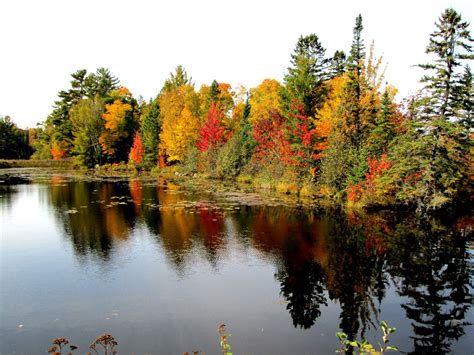 Grand Rapids MN #OnlyinMN | Grand rapids mn, Grand rapids minnesota ...