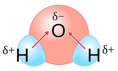 What is a Polar Covalent Bond? | ChemTalk