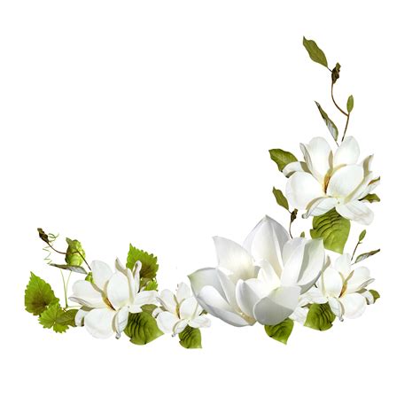 White Rose Flower Corner PNG and Transparent Clipart Image 9594348 PNG