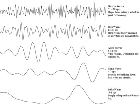 What Are Beta Brain Waves? Improve Focus With Entrainment - Owlcation