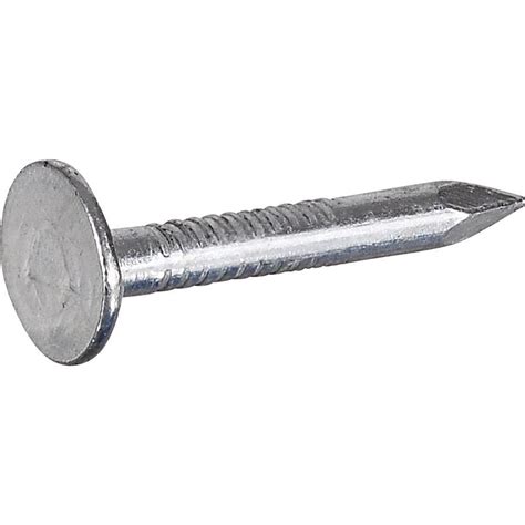 Fas-n-Tite 1-in 11-Gauge Electro-Galvanized Roofing Nails (1-lb) at ...