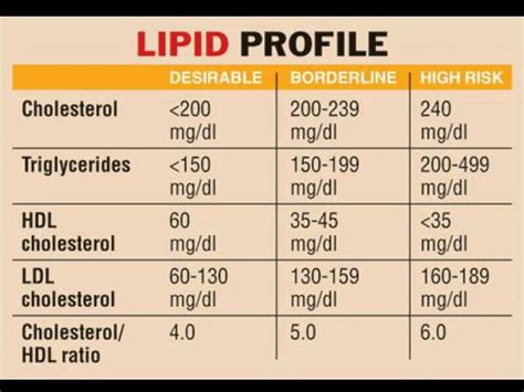 Understanding Lipid Profile: Types of Lipids and Their Ingredients