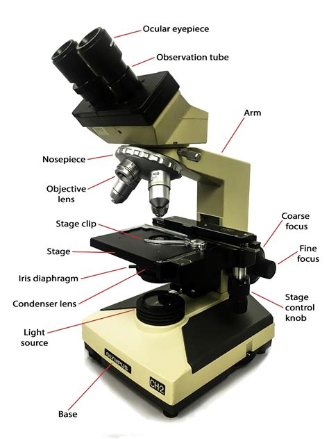 39 label the compound light microscope