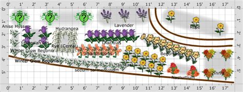 Garden Plan - 2016: Flower Garden