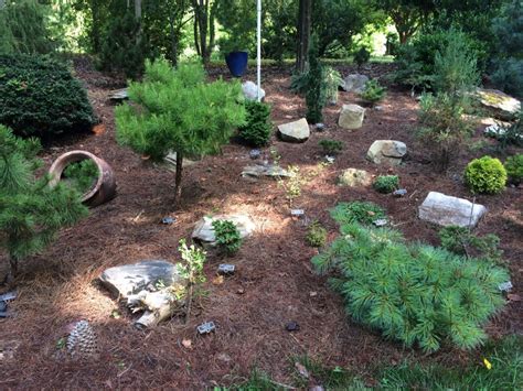 Interview Series: Cox Arboretum | Cultivating Cherokee County