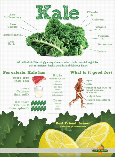 Lilia's Healthbook: Infographic: Benefits of Kale