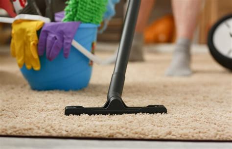 Premium Photo | Home care for carpet vacuum cleane