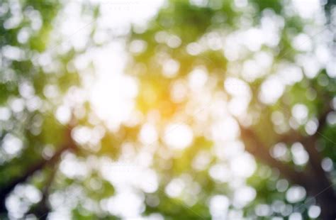 blurred forest background by AlexZaitsev on @creativemarket Wedding ...