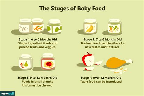 Baby Food Stages on Labels—What Do They Mean?