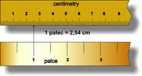 21 Cm To Inches - AbilouiseRibh