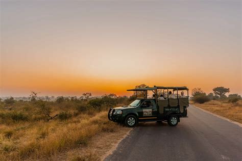 Wildlife tourism - Kruger Gate Hotel - Kruger national park wildlife