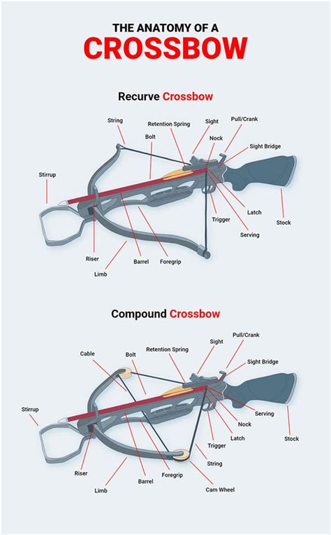 Crossbow Diagram