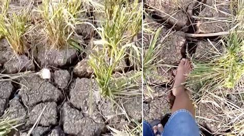 El Nino Drought Hits Southern Philippines - YouTube