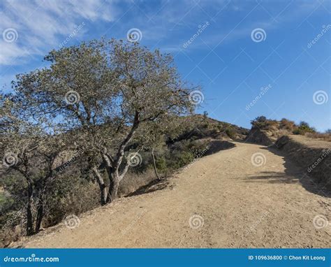 Hiking Trail Around San Gabriel Mountain Stock Photo - Image of ...