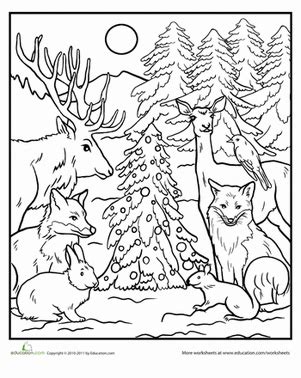 Forest Animals Coloring Pages Free