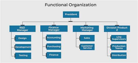 Functional Organizational Structure: Everything You Need To Know