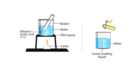 Esters are sweet smelling substances and are used in making perfumes ...