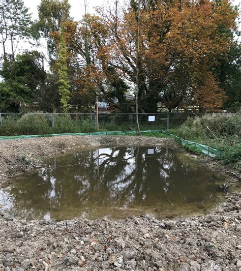 Newt breeding pond October 2018 – Lenham Meadows Trust