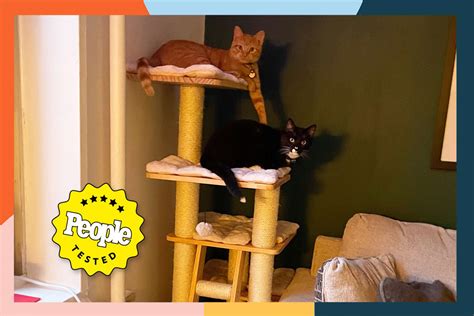 The 10 Best Cat Trees of 2023, Tested by Our Cats