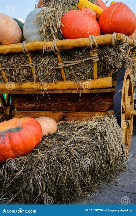 Celebrating Autumn Harvest Festival. Stock Image - Image of country ...