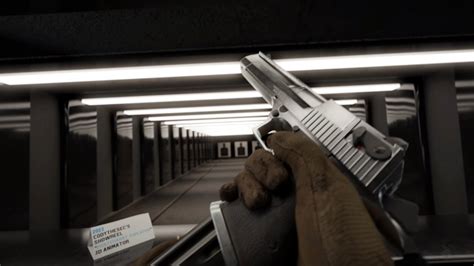 Desert Eagle Shooting Range! : r/HighQualityReloads