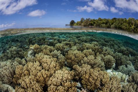 Micronesia Travel Guide