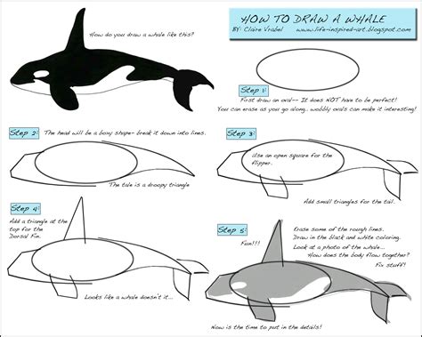 Life Inspired Art: How to Draw a Whale!