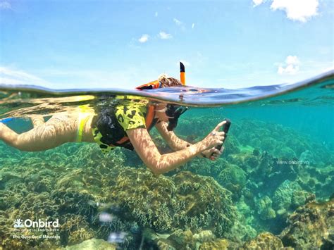 The best Snorkeling & Diving spots in South Phu Quoc Island, Vietnam in ...