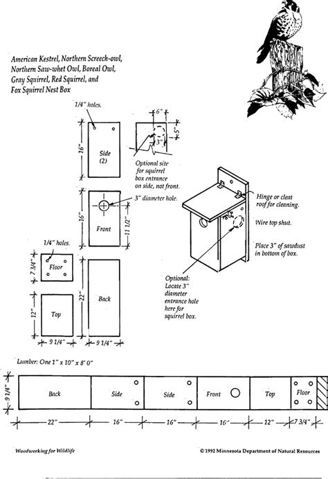 Woodwork Bird House Plans Owl PDF Plans