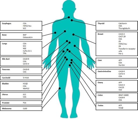 Disease Markers