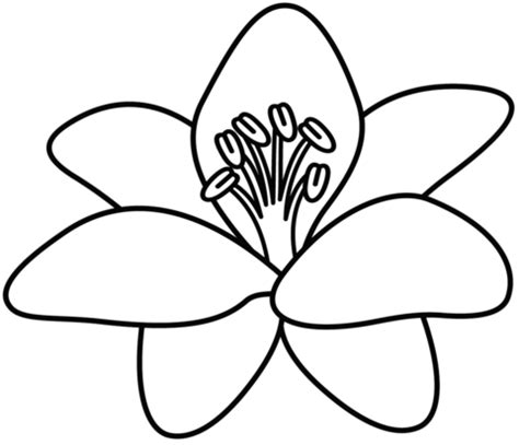 Lily coloring page | Free Printable Coloring Pages