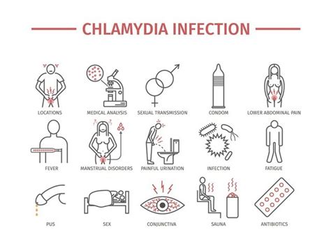 Chlamydia in Men | symptoms, diagnosis, treatments