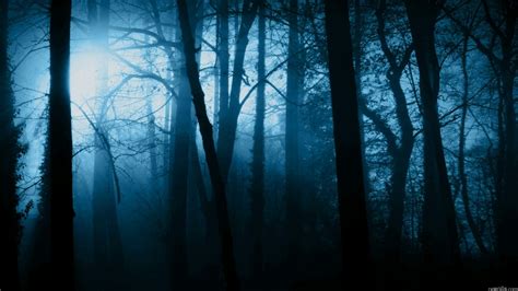 Dark Scary Forest Wallpaper - WallpaperSafari