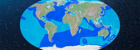 KILLER WHALES (Orcinus orca) - Habitat & Distribution