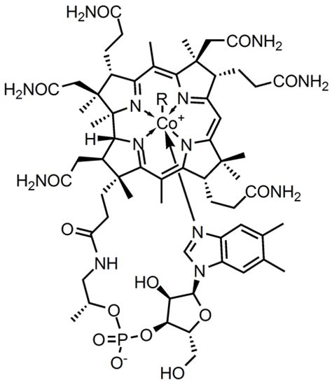 Vitamin B12 or Cobalamin | Podcast | Chemistry World