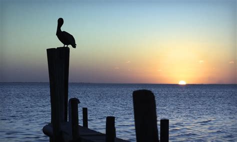 Suites at Sunchase in - South Padre Island, TX | Groupon Getaways