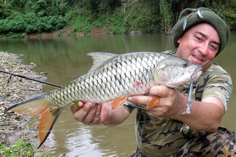 International Fishing News: Thailand Jungle Fishing