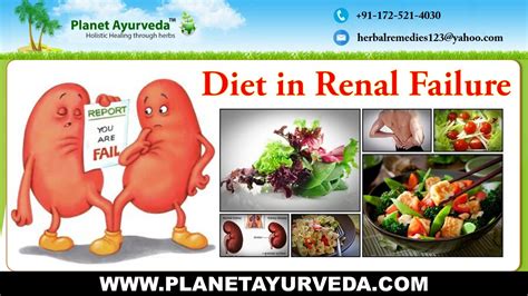 Diet in Renal failure | Foods to Eat in Chronic kidney disease - YouTube