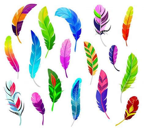 Feather vector fluffy feathering quil and colorful feathery birds plume ...