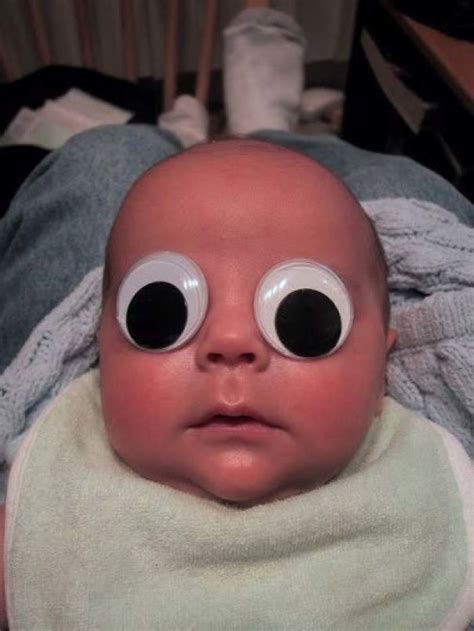 50 Funny Pics That Prove Googly Eyes Make EVERYTHING Look Better ...