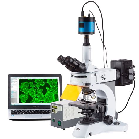 AmScope 40 x -1000 x vertical microscopio de fluorescencia con rotación ...