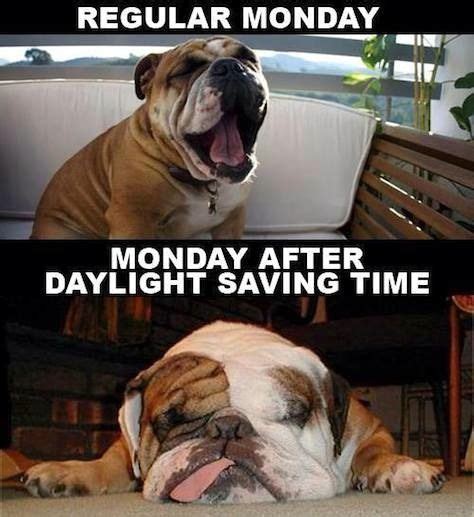 15 Daylight Saving Time Memes That Capture How Most Of Us Feel About ...