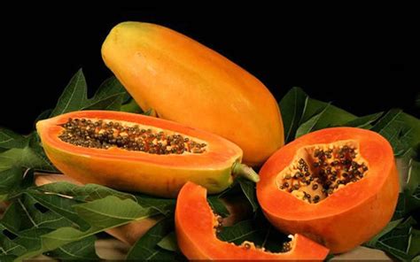 Papaya Fruit – The Miracle Fruit For Your Health - NPV Beverage