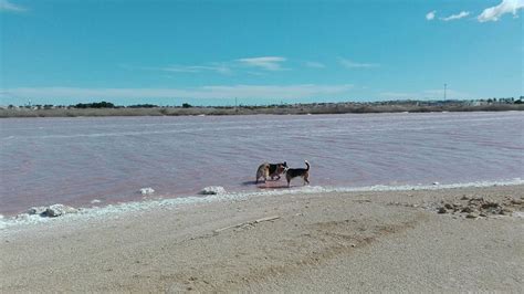 Torrevieja - The Salt Lakes