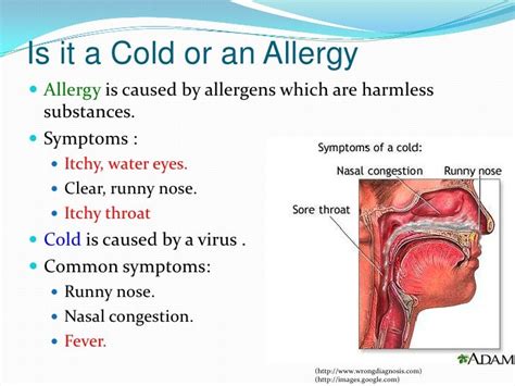 Nasal allergy