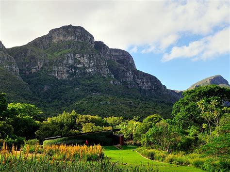 Kirstenbosch National Botanical Garden Cape Town, South Africa - Park ...