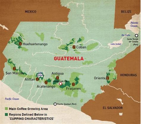 3 Best Guatemalan Coffee Brands: Ultimate Diversity In A Cup - Il ...