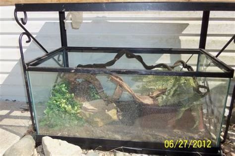 40 gallon reptile tank and stand complete set up for Sale in Metamora ...