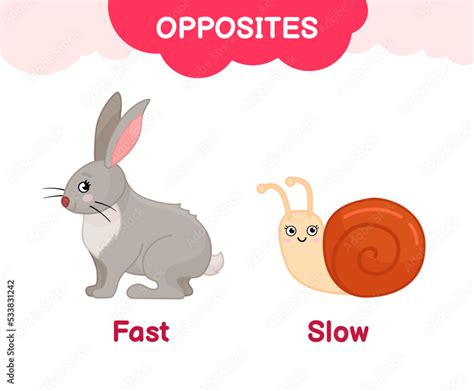 Vector learning material for kids opposites fast slow. Cartoon ...