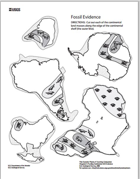 Wegener's Puzzling Evidence Exercise - continental drift leads to ...